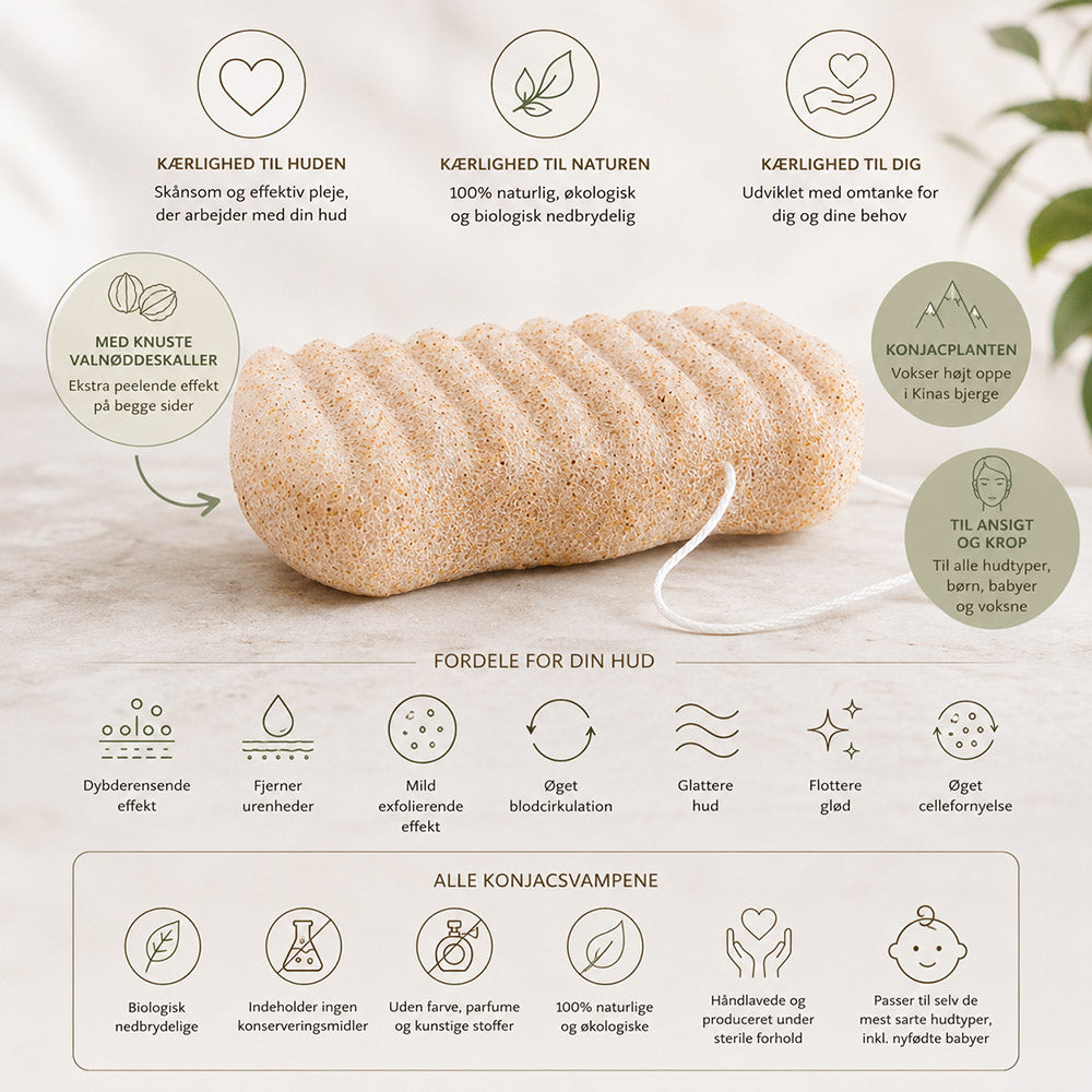 Organic Konjac Svamp Body - Walnut Shell