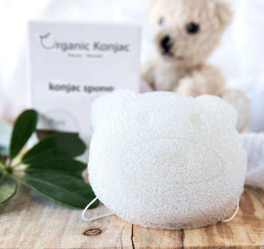 Organic Konjac Svamp Pure Bear