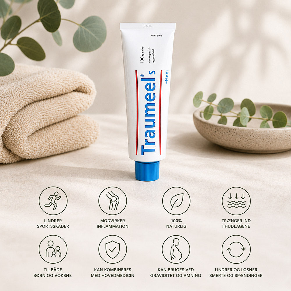 Traumeel S Salve - 100 g